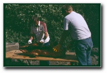 [Click to enlarge image]